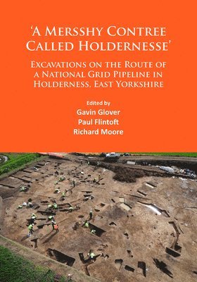 bokomslag A Mersshy Contree Called Holdernesse: Excavations on the Route of a National Grid Pipeline in Holderness, East Yorkshire