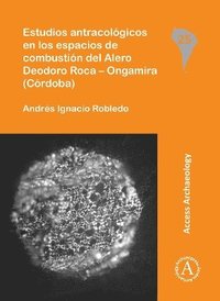 bokomslag Estudios antracolgicos en los espacios de combustin del Alero Deodoro Roca  Ongamira (Crdoba)