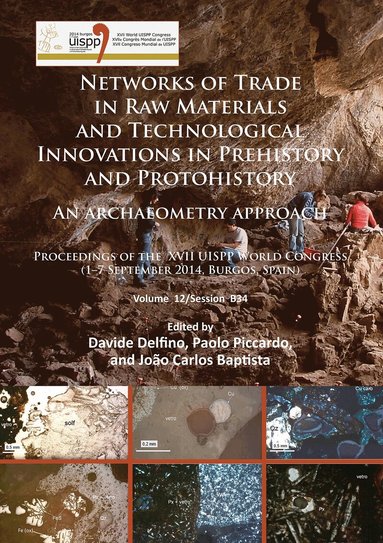 Davide Delfino, Paolo Piccardo, João Carlos Baptista - Networks of trade in raw materials and technological innovations in Prehistory and Protohistory: an archaeometry approach, Häftad