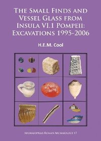 bokomslag The Small Finds and Vessel Glass from Insula VI.1 Pompeii: Excavations 1995-2006
