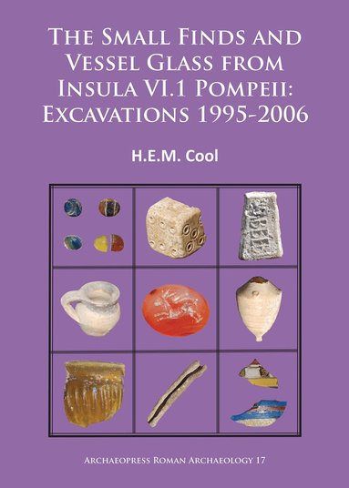 H.E.M. Cool - Small Finds and Vessel Glass from Insula VI.1 Pompeii: Excavations 1995-2006, Häftad