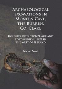bokomslag Archaeological excavations in Moneen Cave, the Burren, Co. Clare