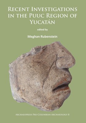 bokomslag Recent Investigations in the Puuc Region of Yucatán