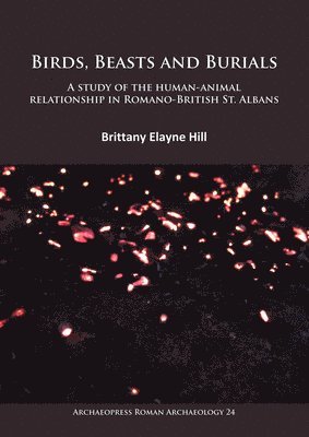 Birds, Beasts and Burials: A study of the human-animal relationship in Romano-British St. Albans 1
