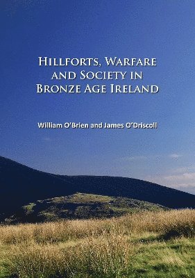 Hillforts, Warfare and Society in Bronze Age Ireland 1