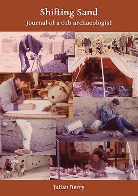 Shifting Sand: Journal of a cub archaeologist, Palestine 1964 1