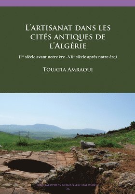bokomslag L'artisanat dans les cites antiques de l'Algérie