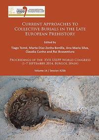 bokomslag Current Approaches to Collective Burials in the Late European Prehistory