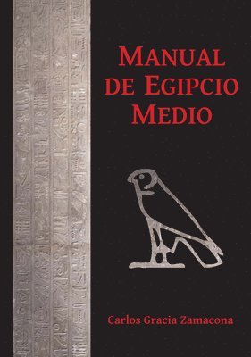 bokomslag Manual de Egipcio Medio (segunda edición)