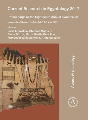 bokomslag Current Research in Egyptology 2017