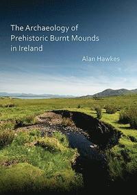 bokomslag The Archaeology of Prehistoric Burnt Mounds in Ireland