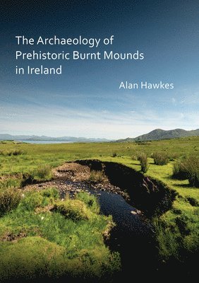 bokomslag Archaeology of Prehistoric Burnt Mounds in Ireland