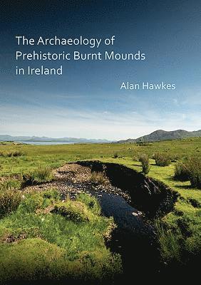 bokomslag The Archaeology of Prehistoric Burnt Mounds in Ireland