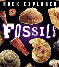 bokomslag Rock Explorer: Fossils