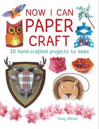 bokomslag Now I Can Paper Craft: 20 Hand-Crafted Projects to Make