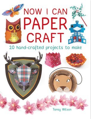Now I Can Paper Craft: 20 Hand-Crafted Projects to Make 1