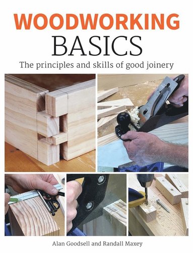 bokomslag Woodworking Basics