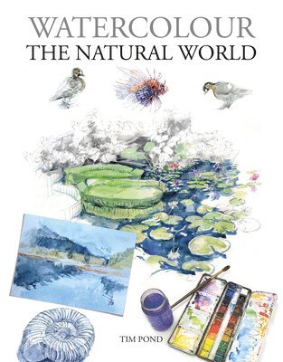 bokomslag Watercolour The Natural World