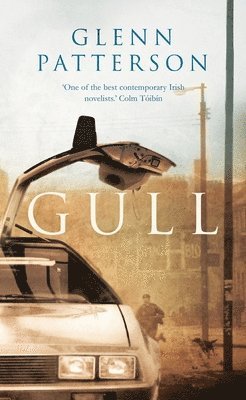 Gull