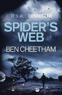 Spider's Web 1