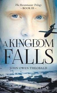 bokomslag A Kingdom Falls