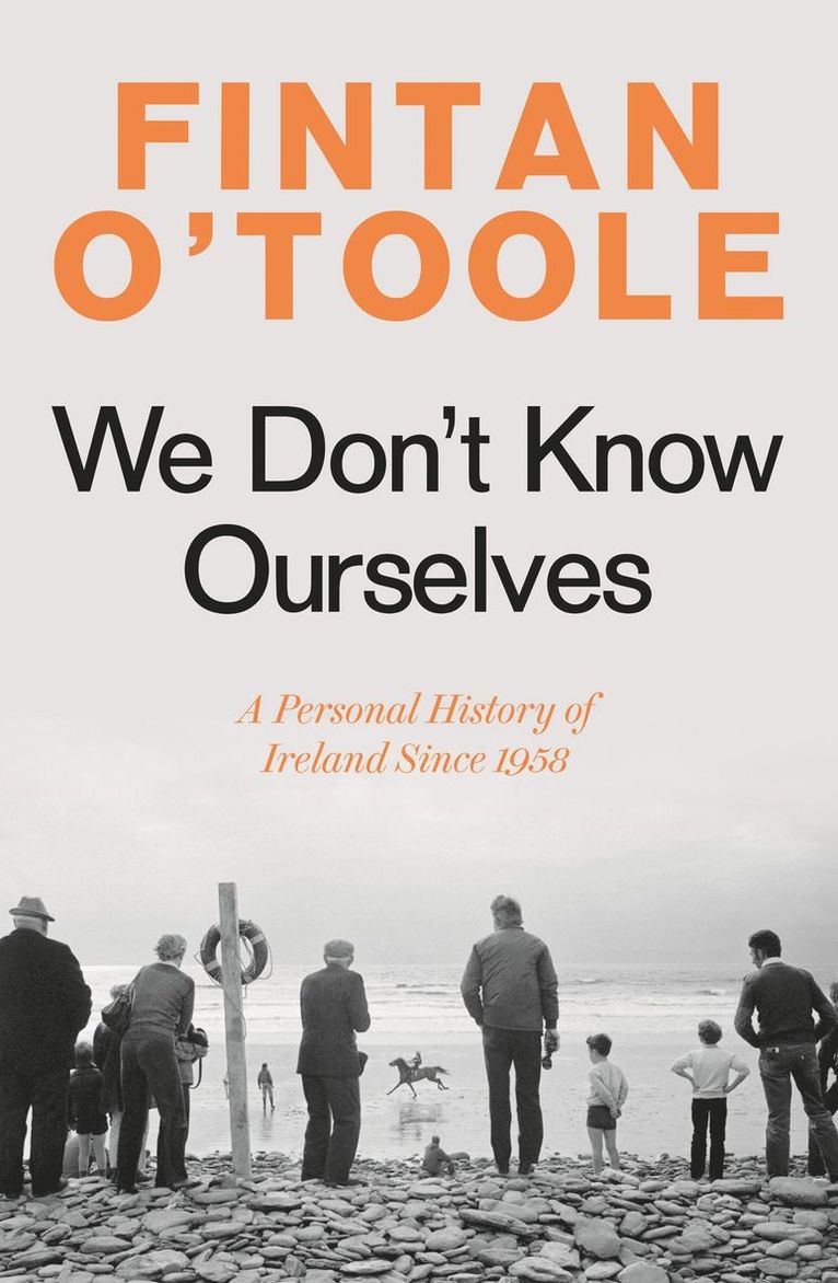 Fintan O'Toole - We Don't Know Ourselves, Häftad
