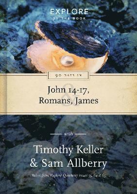 bokomslag 90 Days in John 14-17, Romans & James