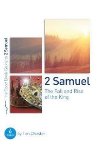 bokomslag 2 Samuel: The Fall and Rise of the King