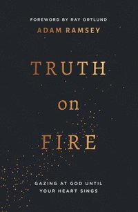 bokomslag Truth on Fire