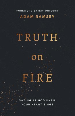 bokomslag Truth on Fire