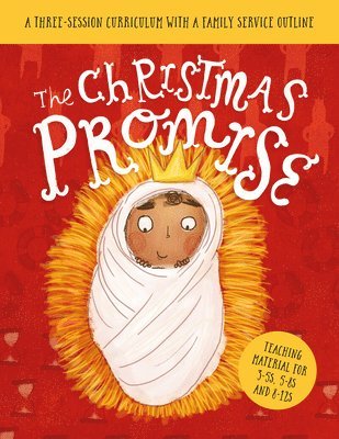 bokomslag The Christmas Promise Sunday School Lessons