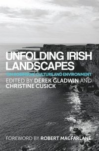 bokomslag Unfolding Irish Landscapes