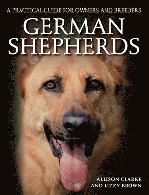 Allison Clarke, Lizzy Brown - German Shepherds, Häftad