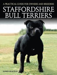 bokomslag Staffordshire Bull Terriers