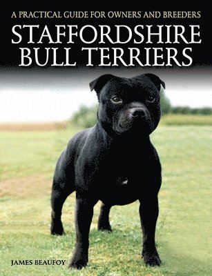 Staffordshire Bull Terriers 1
