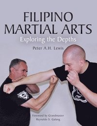 bokomslag Filipino Martial Arts