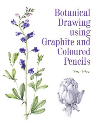 Botanical Drawing using Graphite and Coloured Pencils 1