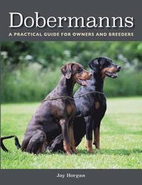 bokomslag Dobermanns