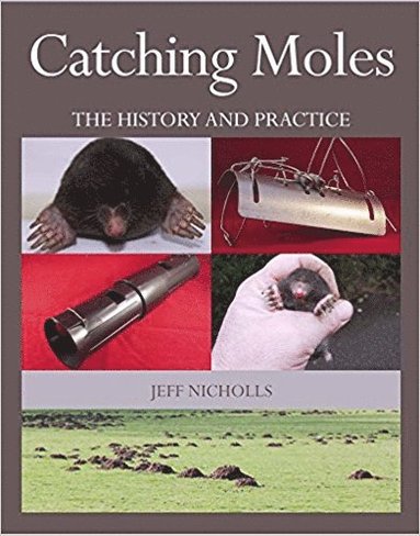 bokomslag Catching Moles