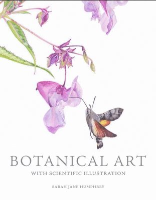 Botanical Art with Scientific Illustration 1
