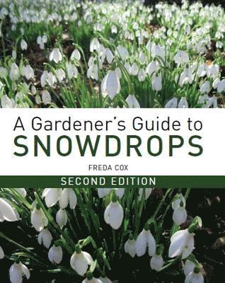 A Gardener's Guide to Snowdrops 1