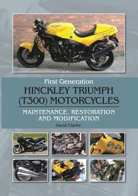 First Generation Hinckley Triumph (T300) Motorcycles 1
