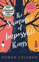 The Summer of Impossible Things 1