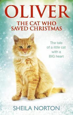 bokomslag Oliver The Cat Who Saved Christmas