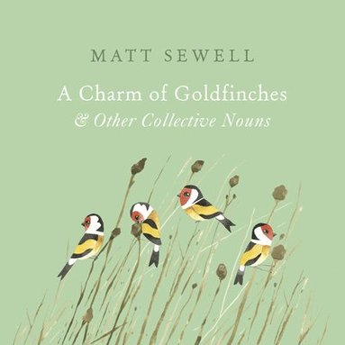 bokomslag Charm of Goldfinches and Other Collective Nouns