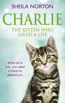 Charlie the Kitten Who Saved A Life 1