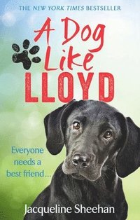 bokomslag Dog like lloyd