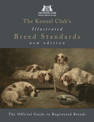 bokomslag Kennel Club's Illustrated Breed Standards: The Official Guide to Registered Breeds