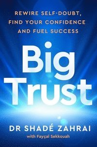 bokomslag Big Trust