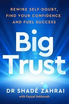 bokomslag Big Trust